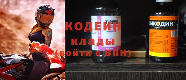 прущие грибы Беломорск