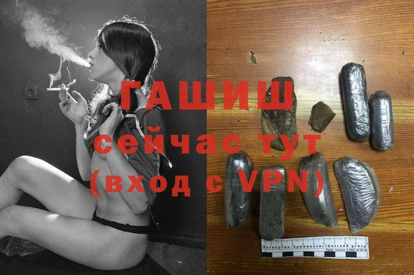 прущие грибы Беломорск