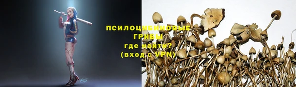 гашиш Белокуриха