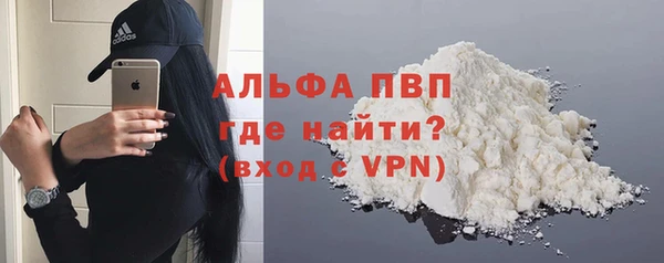 прущие грибы Беломорск