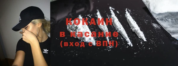 прущие грибы Беломорск