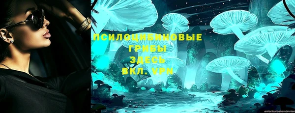 прущие грибы Беломорск