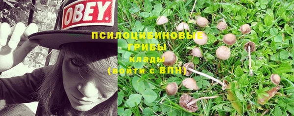 бутират Белоозёрский